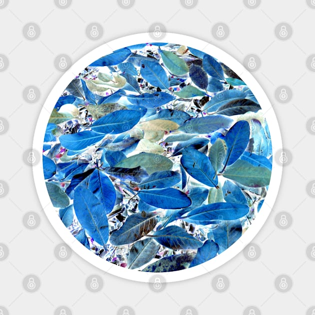 Blue Leaf Abstract Magnet by soitwouldseem